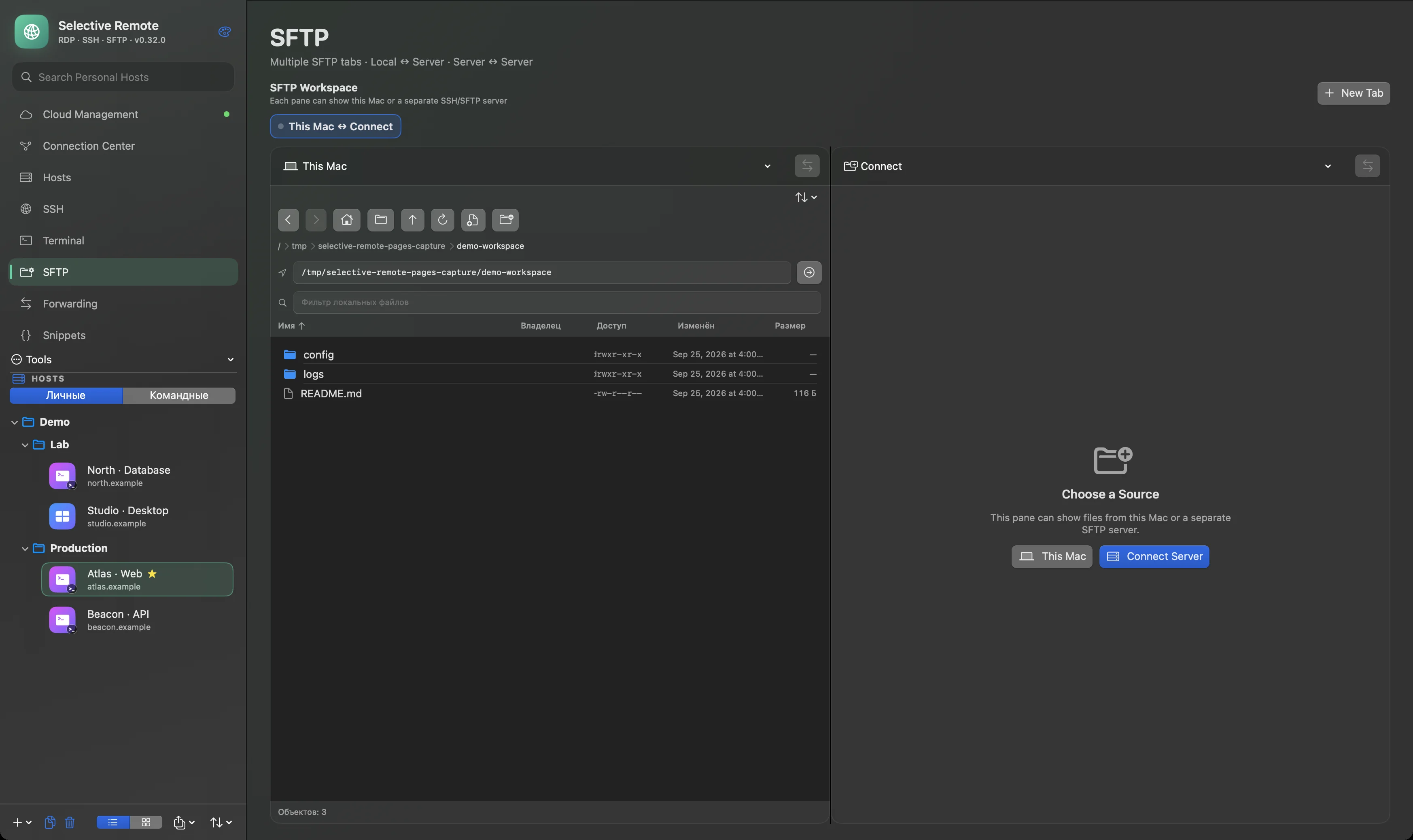Selective Remote 0.32 SFTP workspace with local demo files and no server connected