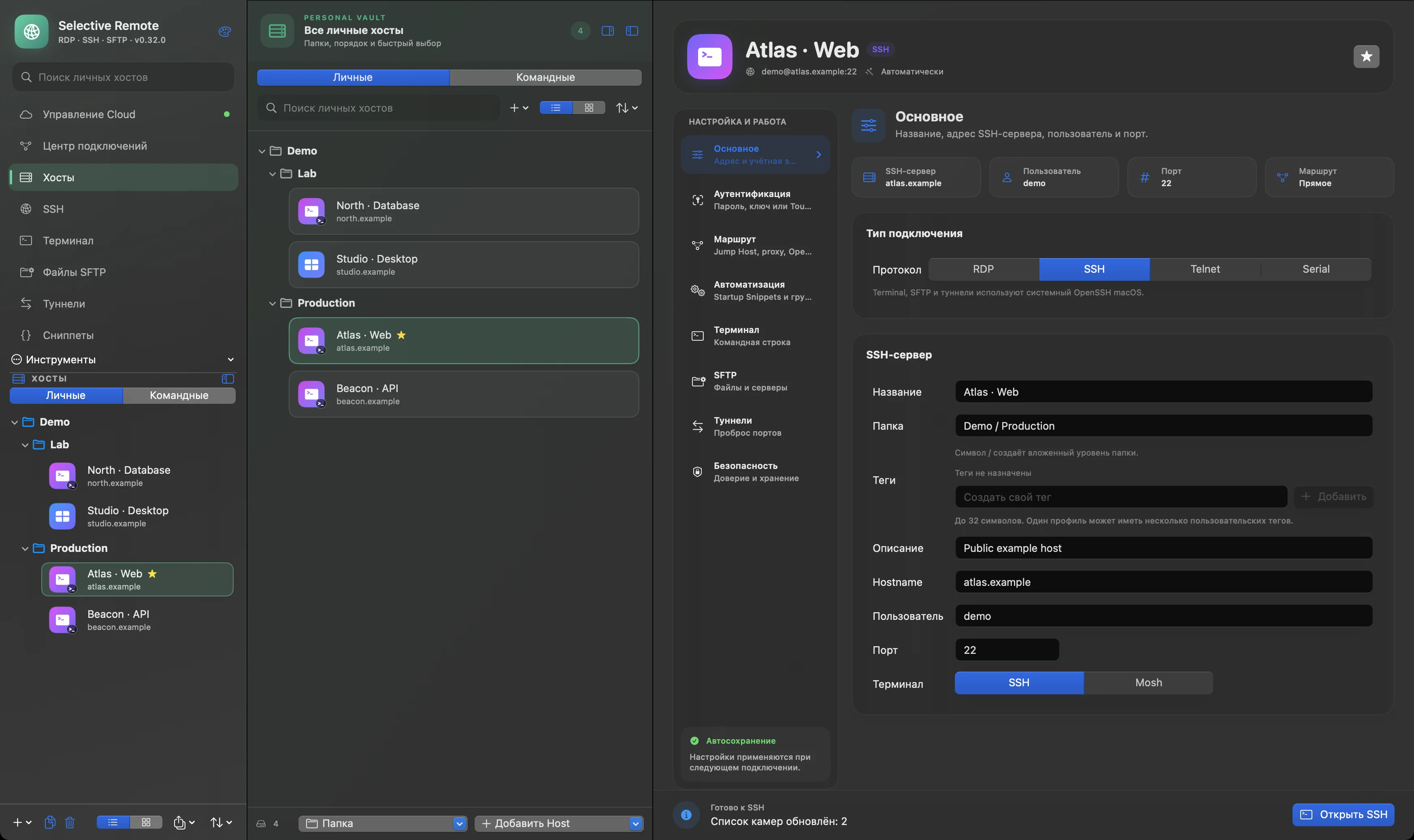 Реальный интерфейс Selective Remote 0.32.0 (163) с обезличенными демонстрационными хостами