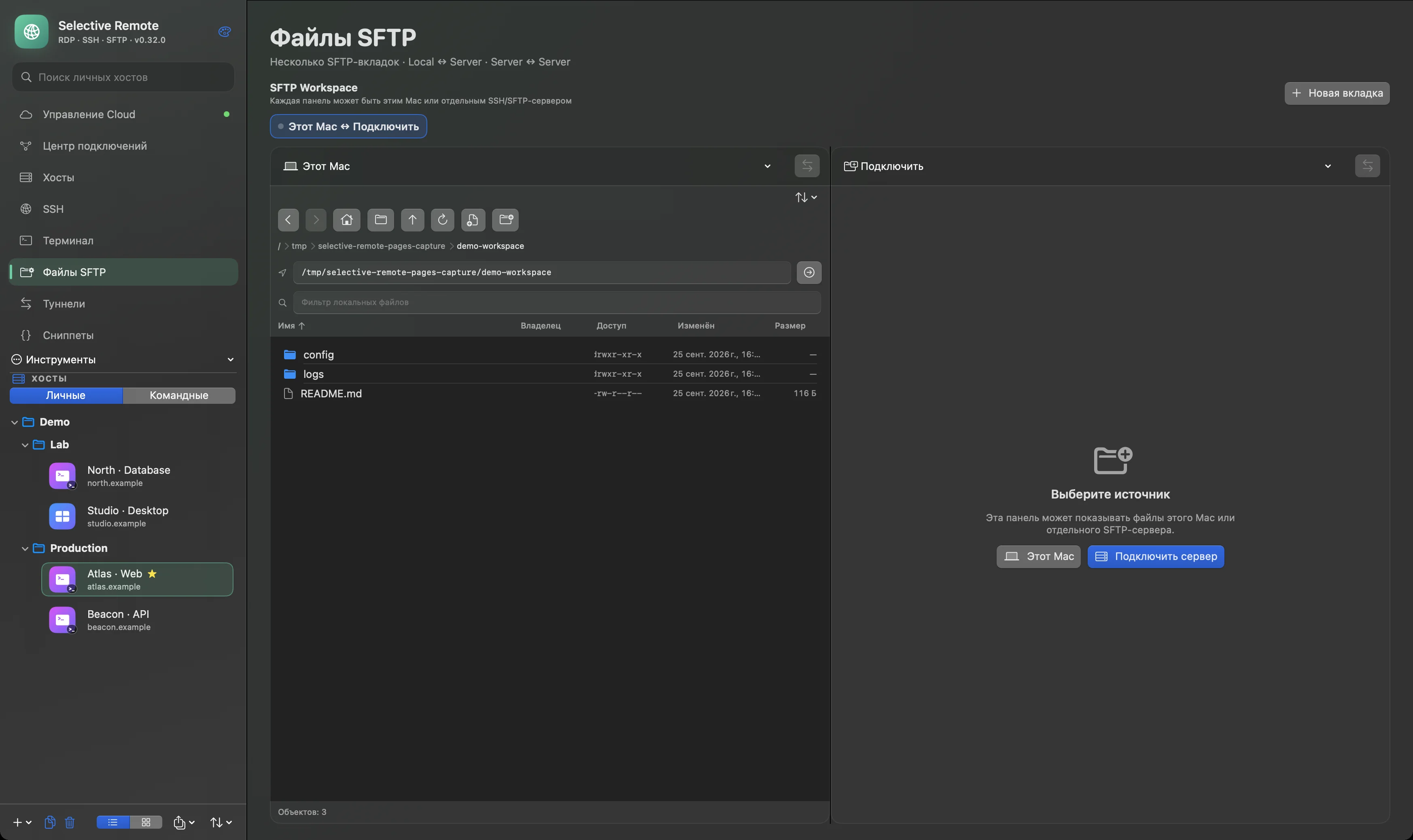 Рабочее пространство SFTP Selective Remote 0.32: локальные демофайлы и панель без подключения к серверу
